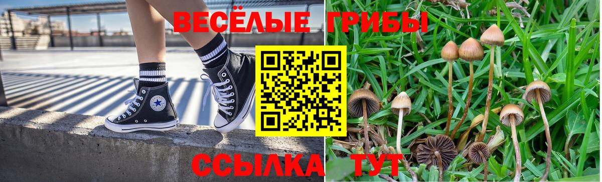 Псилоцибиновые грибы Psilocybine cubensis  Вход с VPN  Назрань 